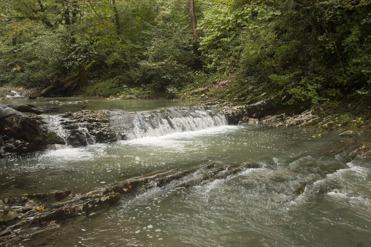 Долина реки Агура, image of landscape/habitat.