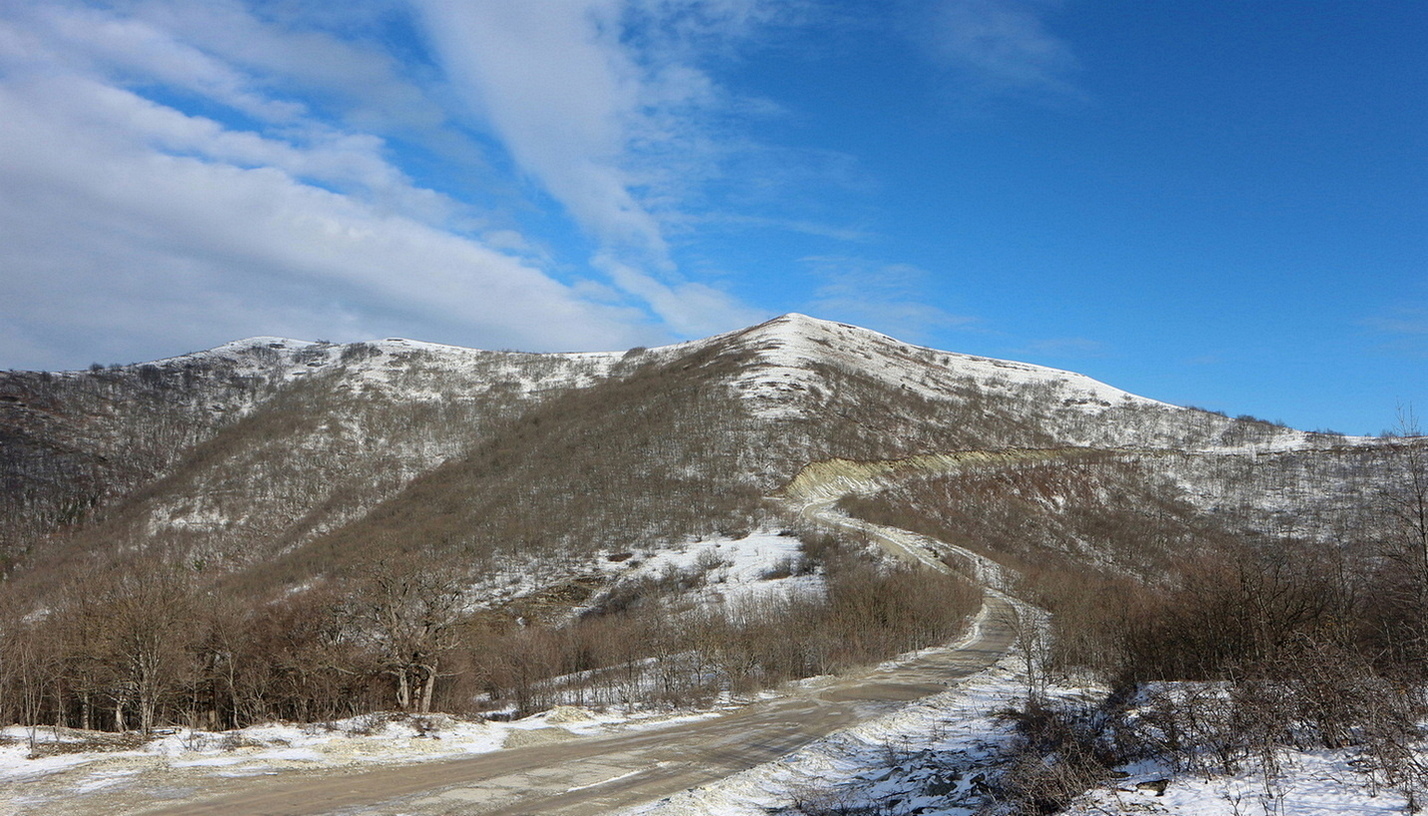 Гора Шахан, image of landscape/habitat.