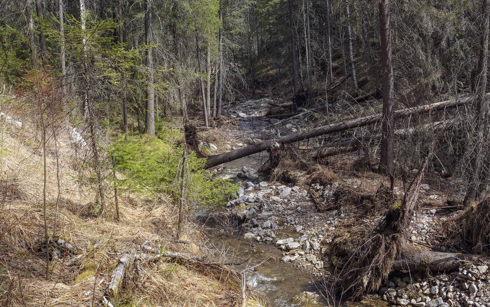 Камень Новиков и его окрестности, image of landscape/habitat.