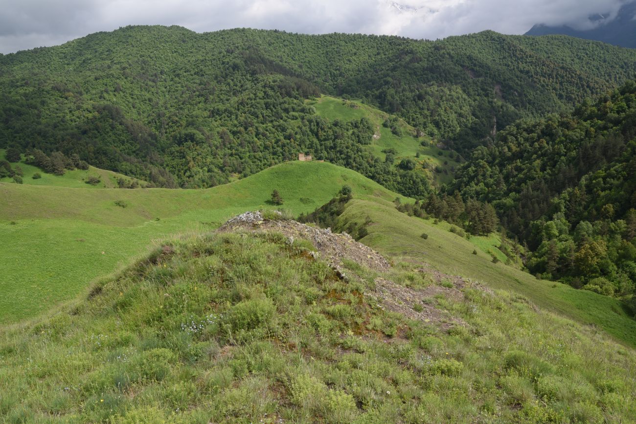 Окрестности урочища Дакхала, image of landscape/habitat.