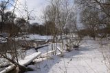 Окрестности деревни Дедюевка, image of landscape/habitat.