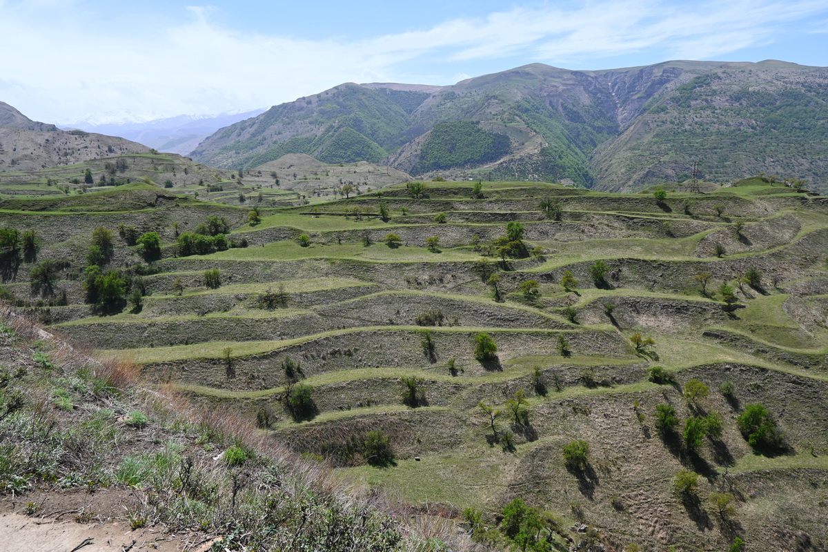 Окрестности села Чох, image of landscape/habitat.