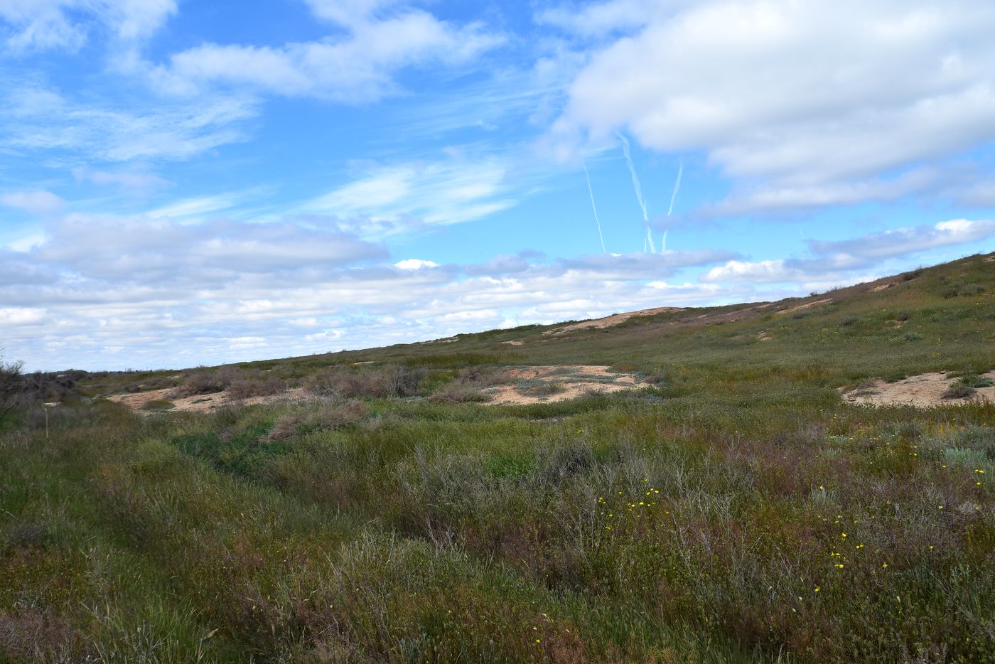Дельта (средняя зона), image of landscape/habitat.