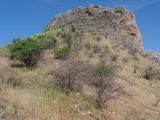 Image of landscape