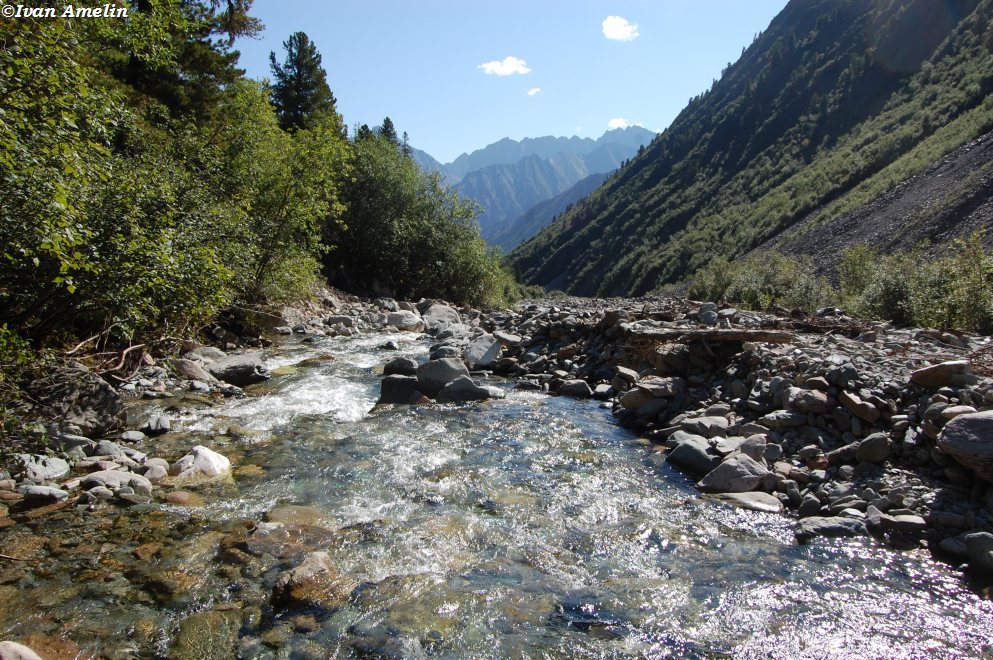 Шумак-гол, image of landscape/habitat.