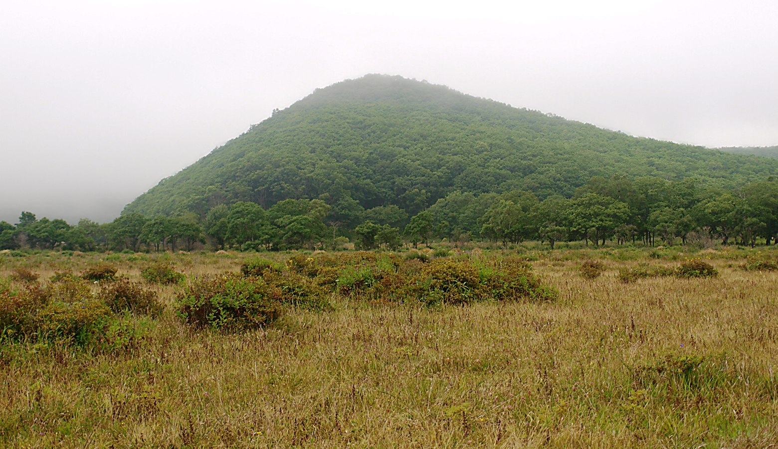 Бухта Красная Скала, image of landscape/habitat.