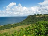 Image of landscape