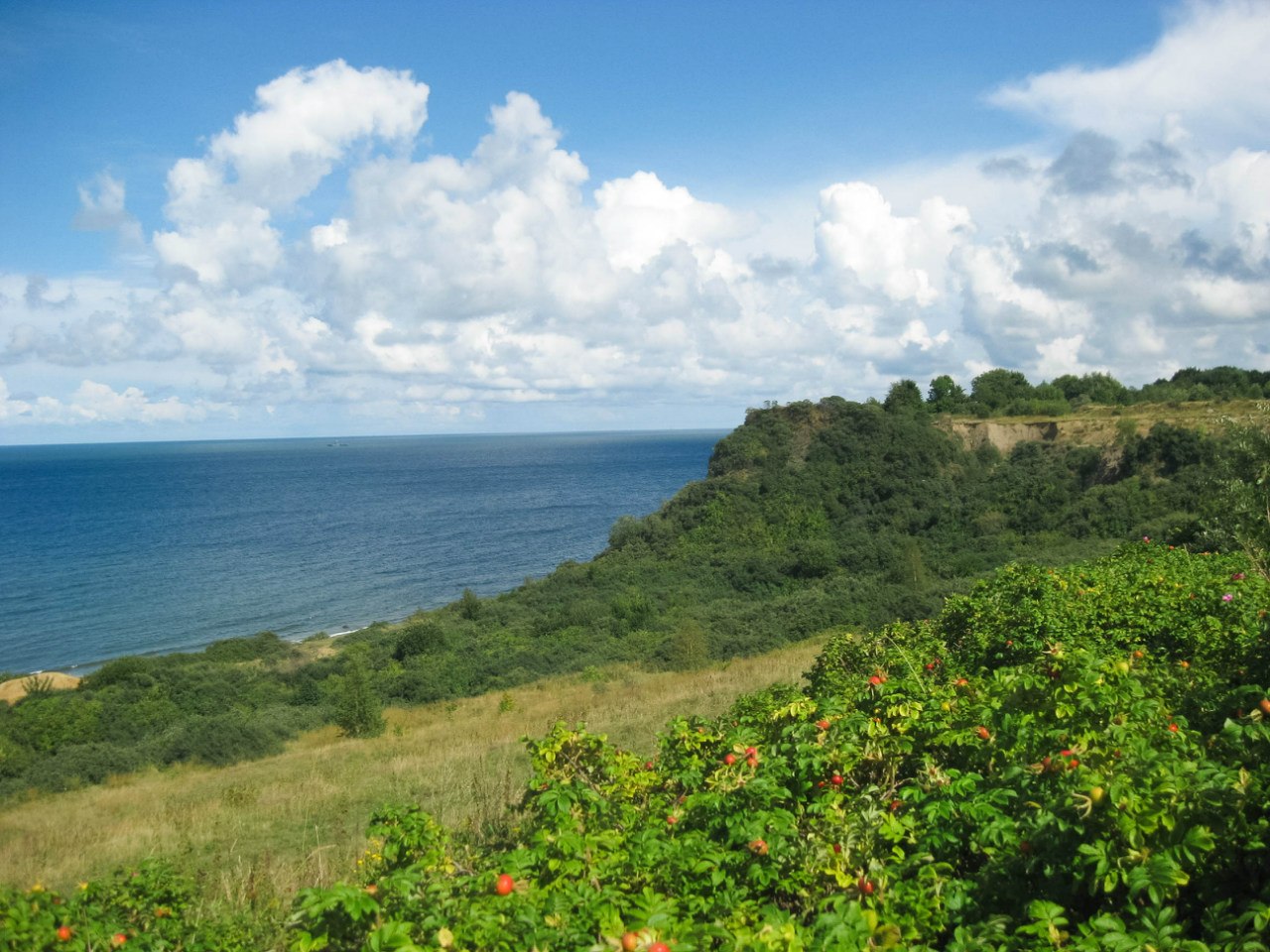 Приморье, image of landscape/habitat.