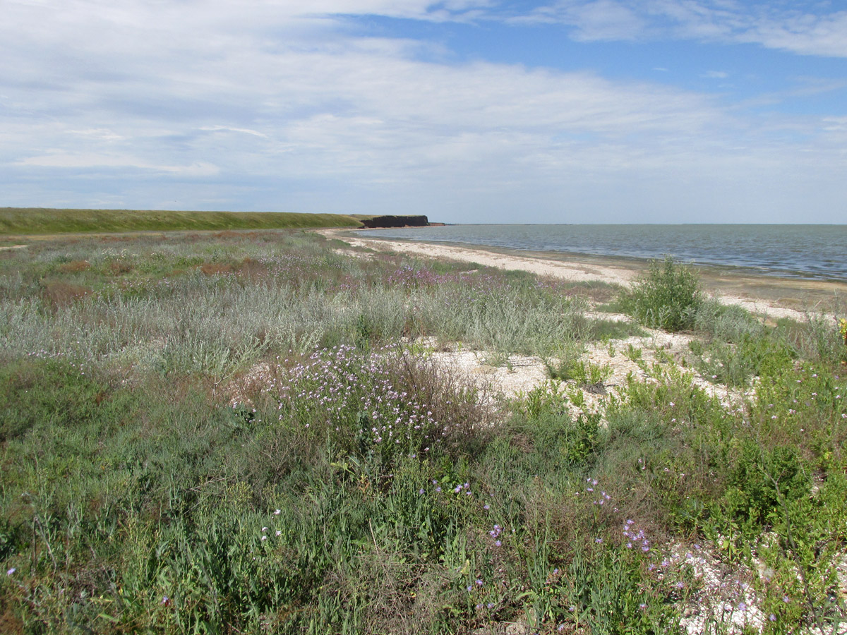 Окрестности Львово, image of landscape/habitat.