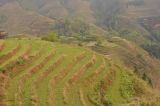 Рисовые террасы Дажай, изображение ландшафта.