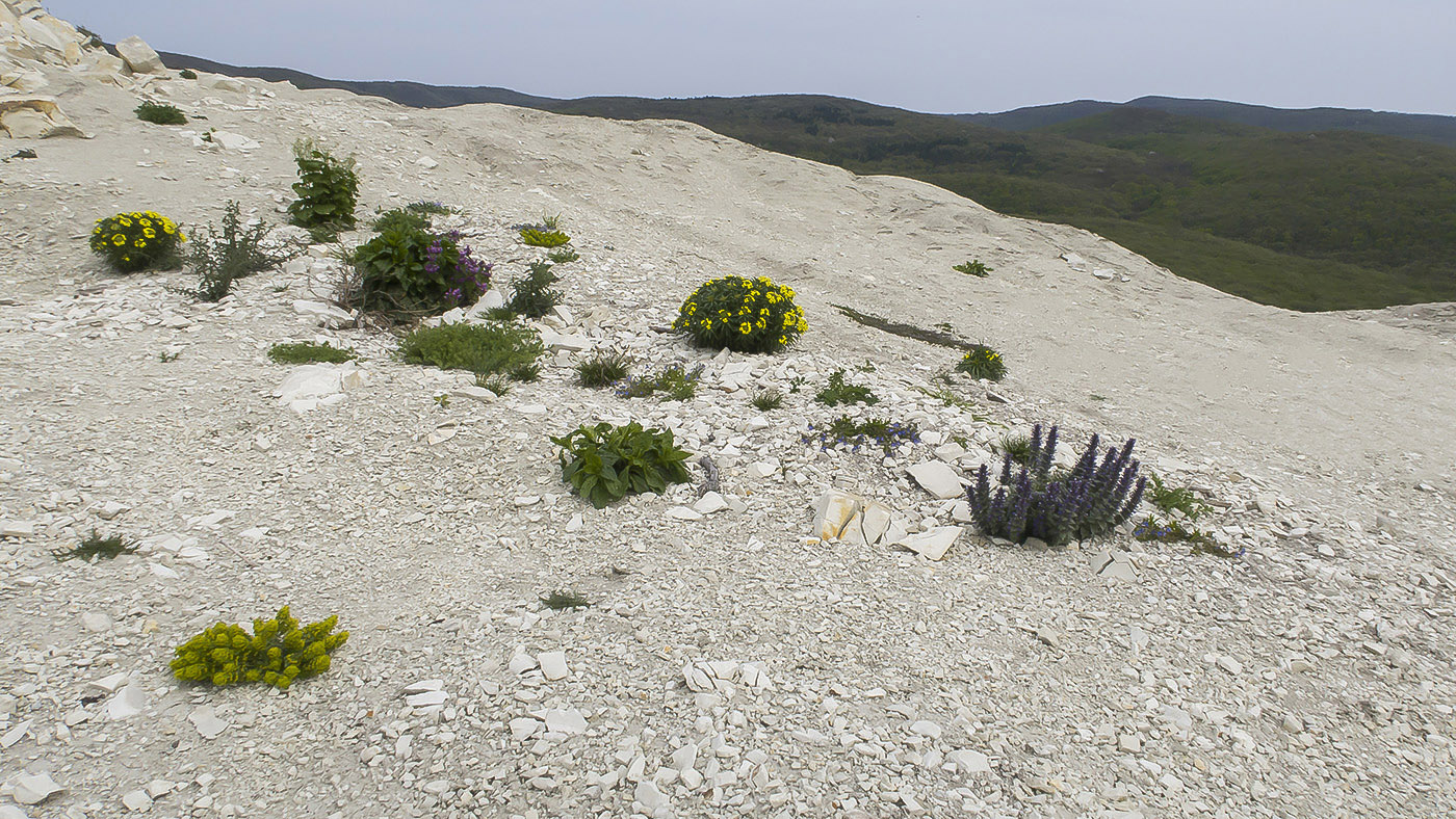 Карьер на горе Лысая, image of landscape/habitat.