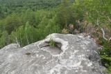 Image of landscape