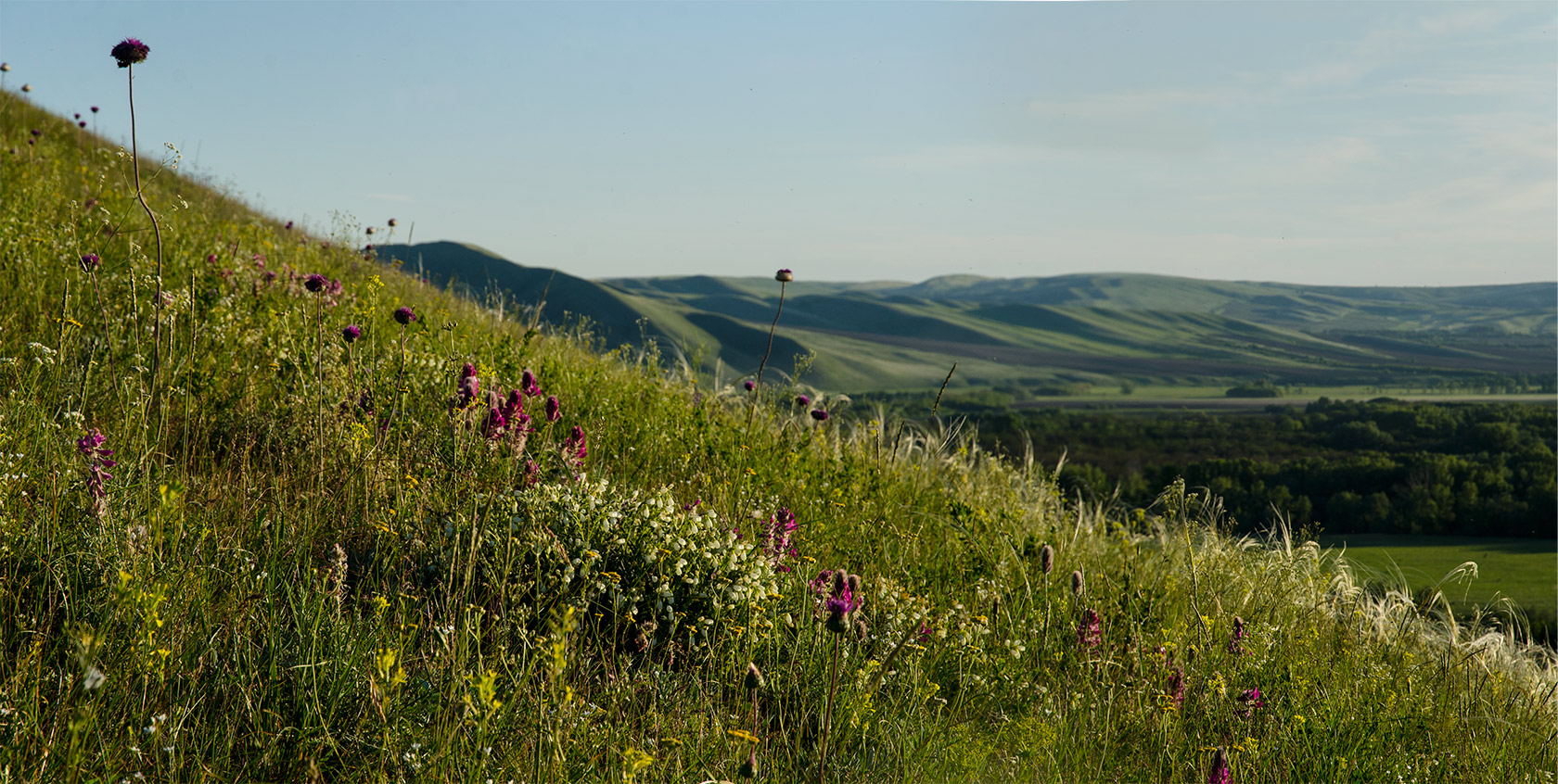 Ногайские горы, image of landscape/habitat.
