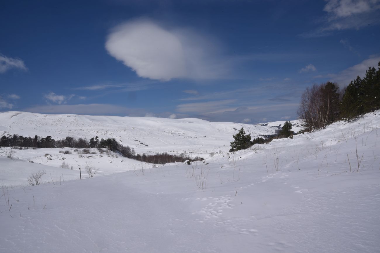Плато Лагонаки, image of landscape/habitat.