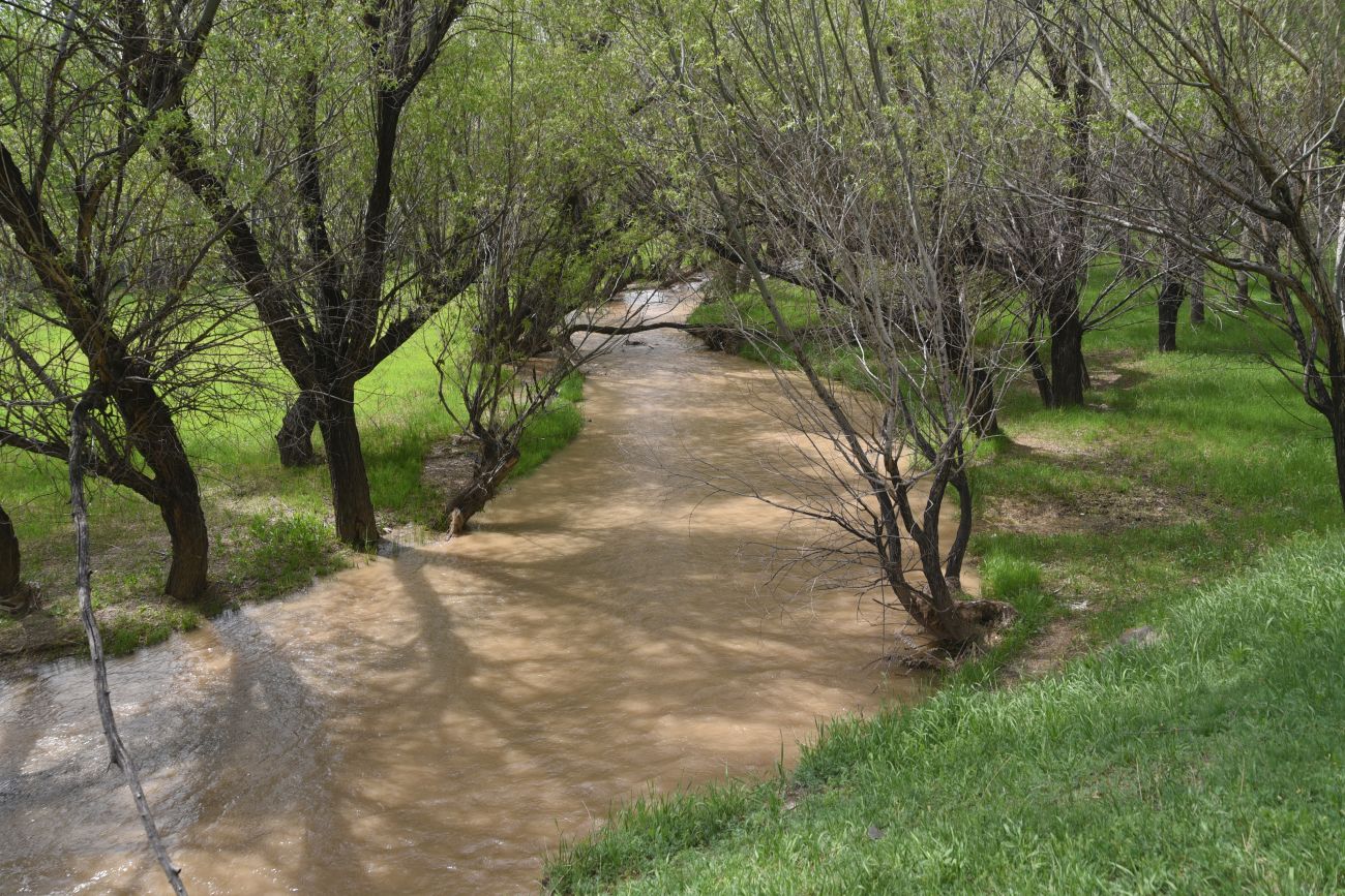 Явузлар, image of landscape/habitat.