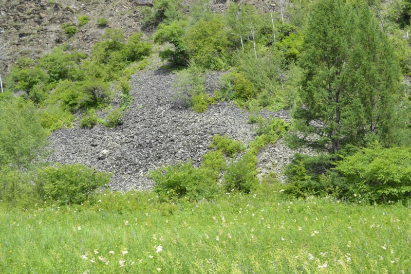 Усть-Стрелка и село Покровка, image of landscape/habitat.