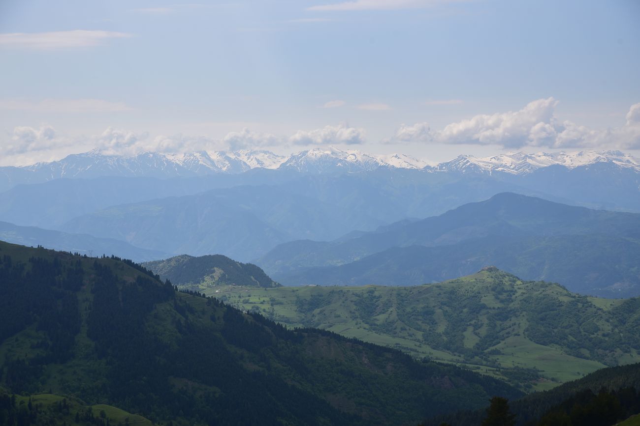 Перевал Чам Гечыды, image of landscape/habitat.
