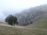 Image of landscape