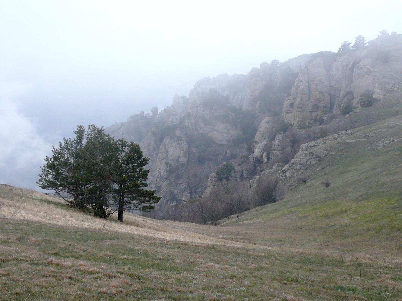 Южная Демерджи, image of landscape/habitat.