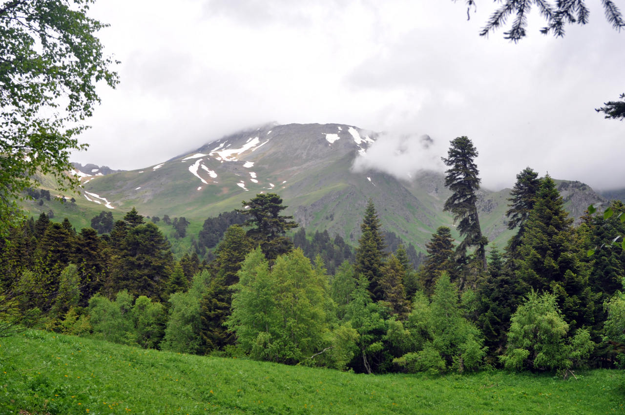 Хребет Абишира-Ахуба, image of landscape/habitat.