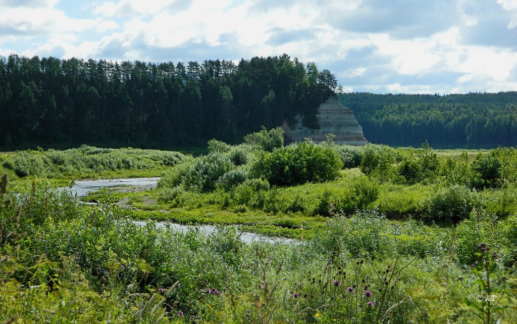 Устье Верхней Ёрги, image of landscape/habitat.