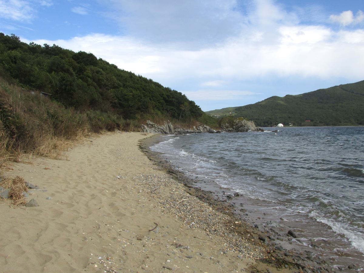 Окрестности села Витязь, image of landscape/habitat.