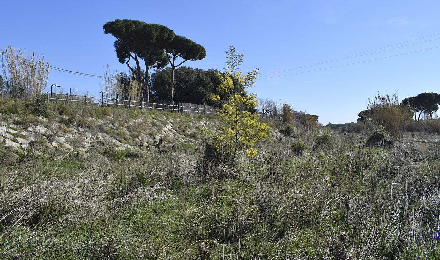 Муниципалитет Калонже, image of landscape/habitat.