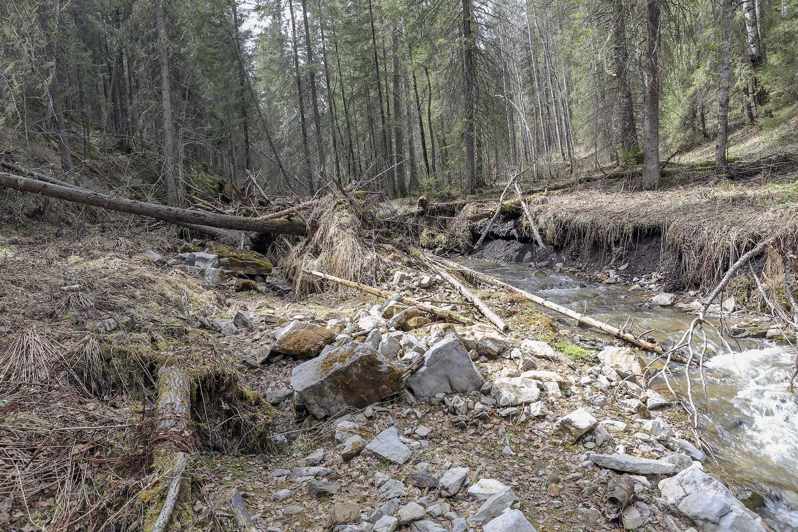 Камень Новиков и его окрестности, image of landscape/habitat.