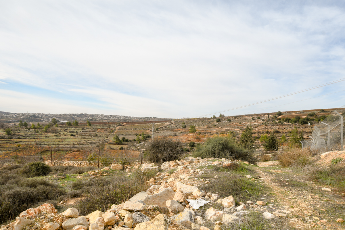 Иудейские горы, image of landscape/habitat.