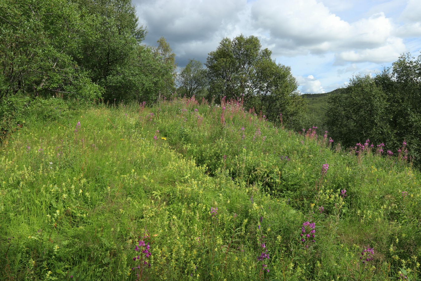 Мельничные водопады, image of landscape/habitat.