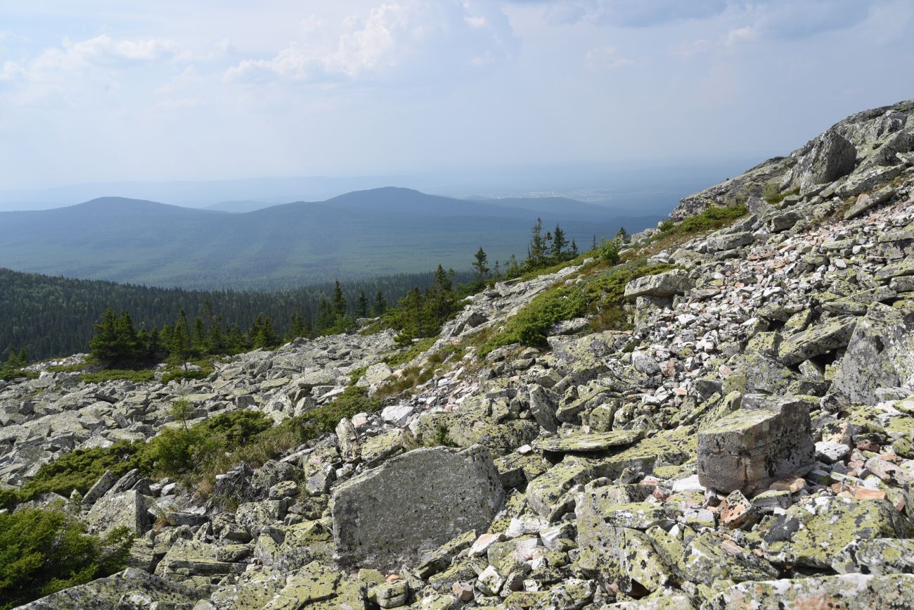 Круглица, image of landscape/habitat.