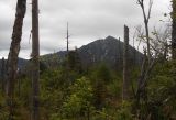 Гора Облачная, image of landscape/habitat.