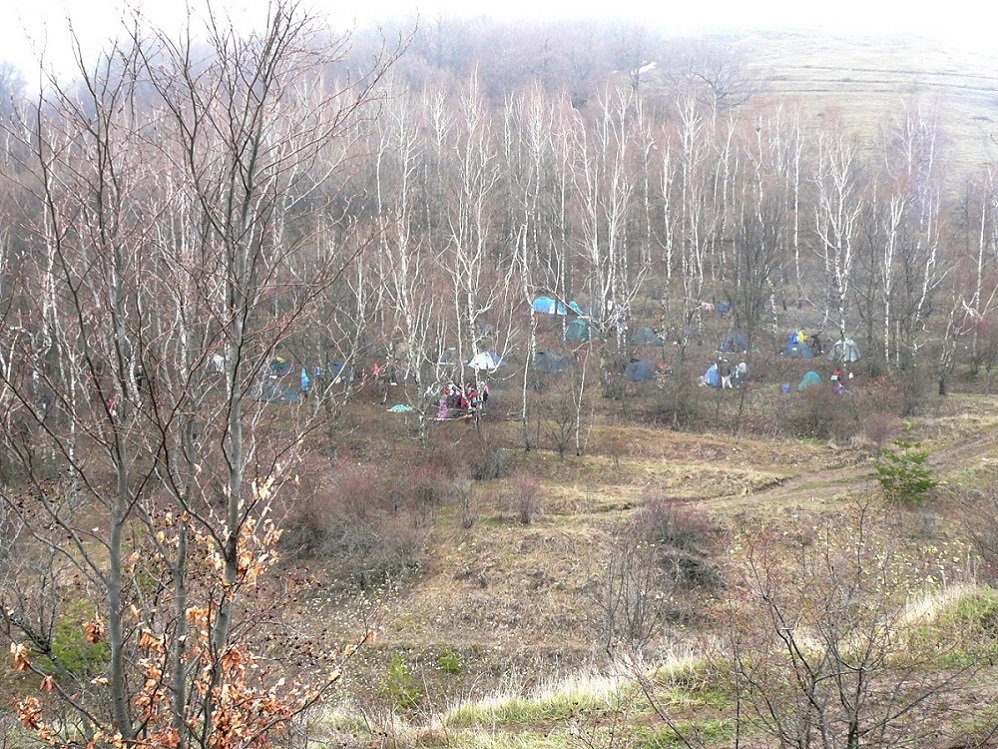 Южная Демерджи, image of landscape/habitat.