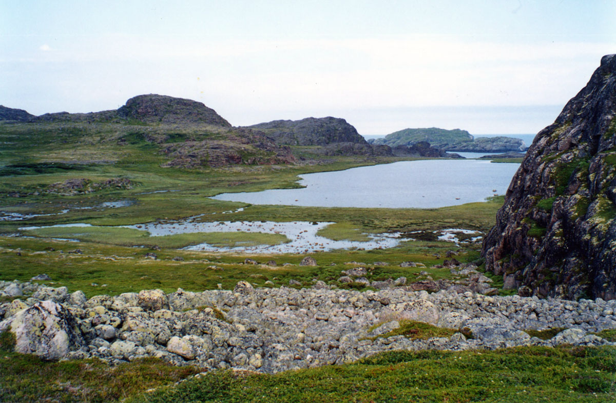 Подпахтинская губа, image of landscape/habitat.