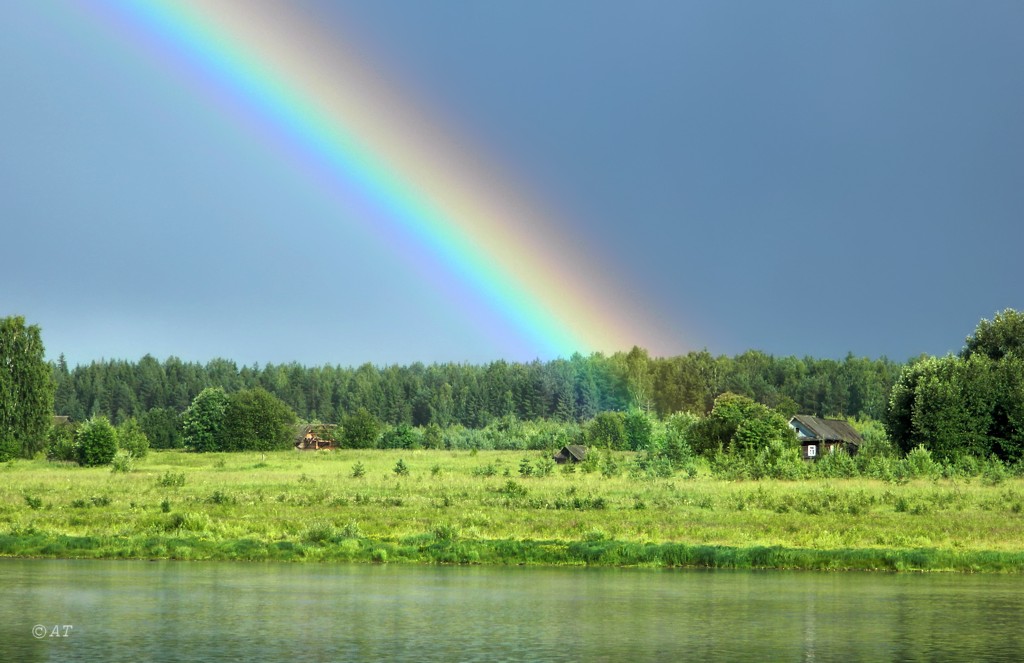 Устье Верхней Ёрги, image of landscape/habitat.