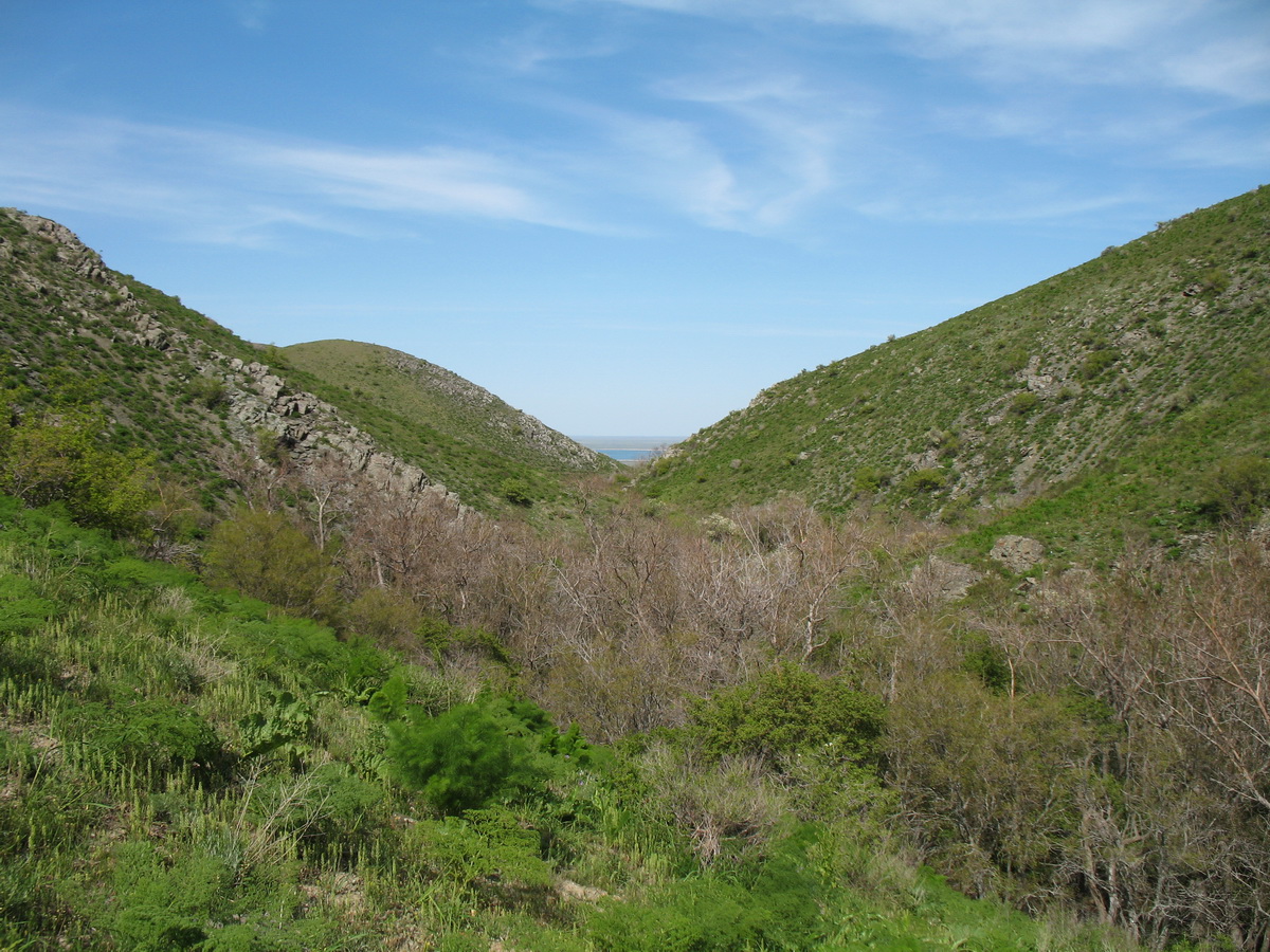 Беркара, image of landscape/habitat.