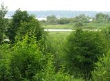 Image of landscape
