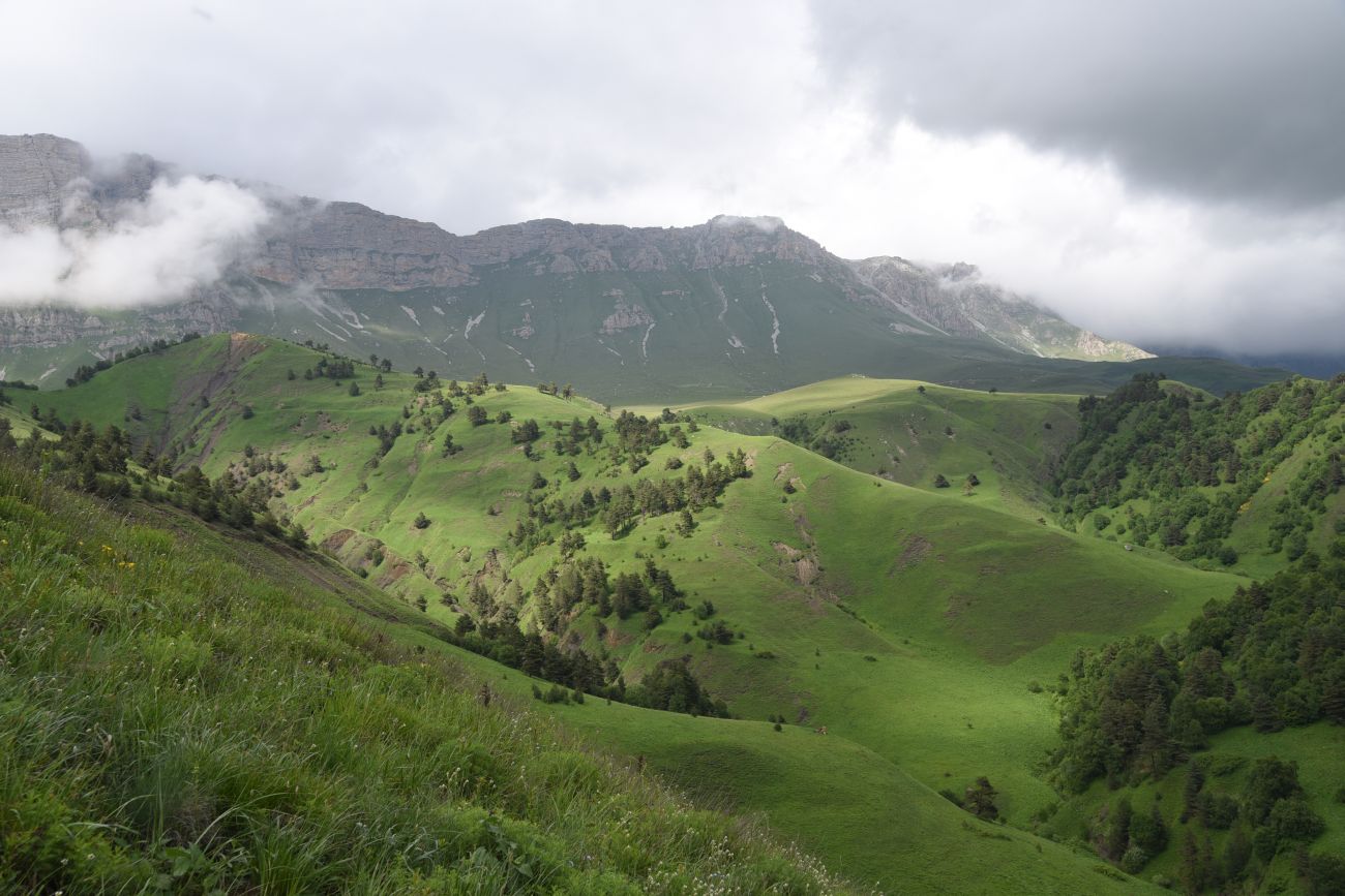 Окрестности урочища Дакхала, image of landscape/habitat.