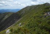Image of landscape