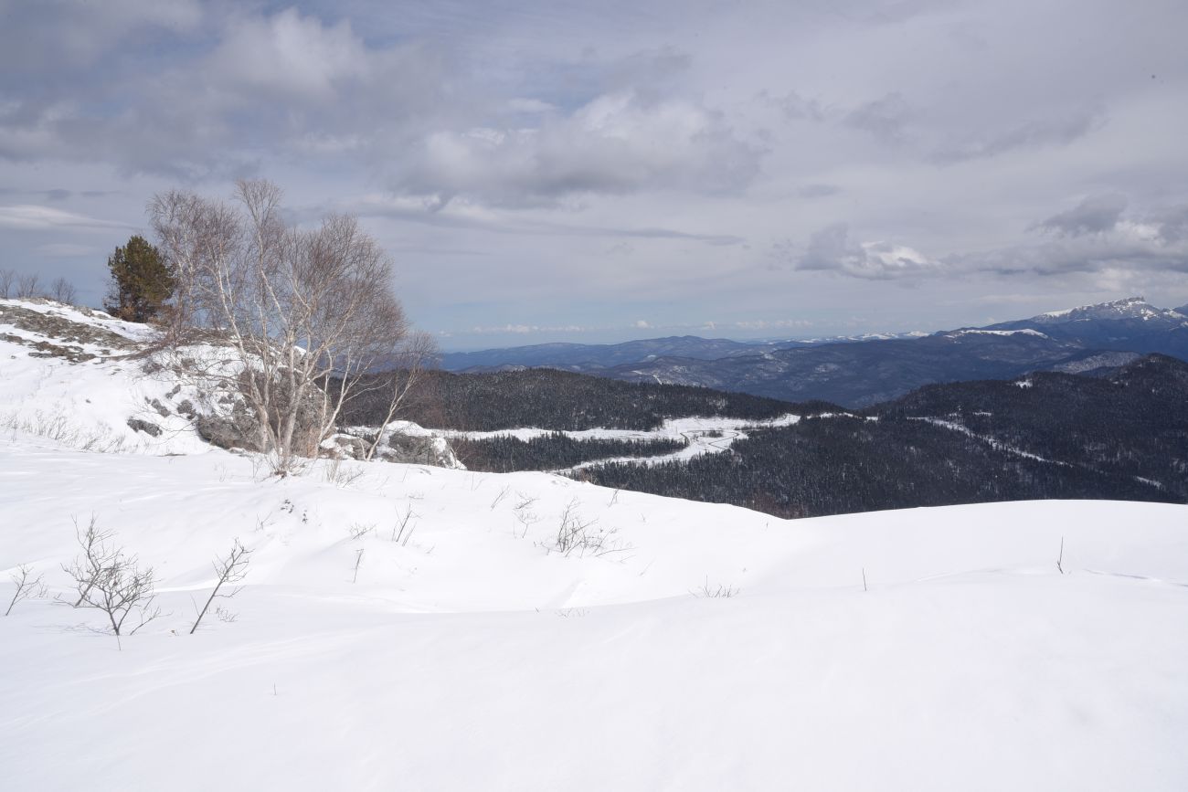 Окрестности ретранслятора, image of landscape/habitat.