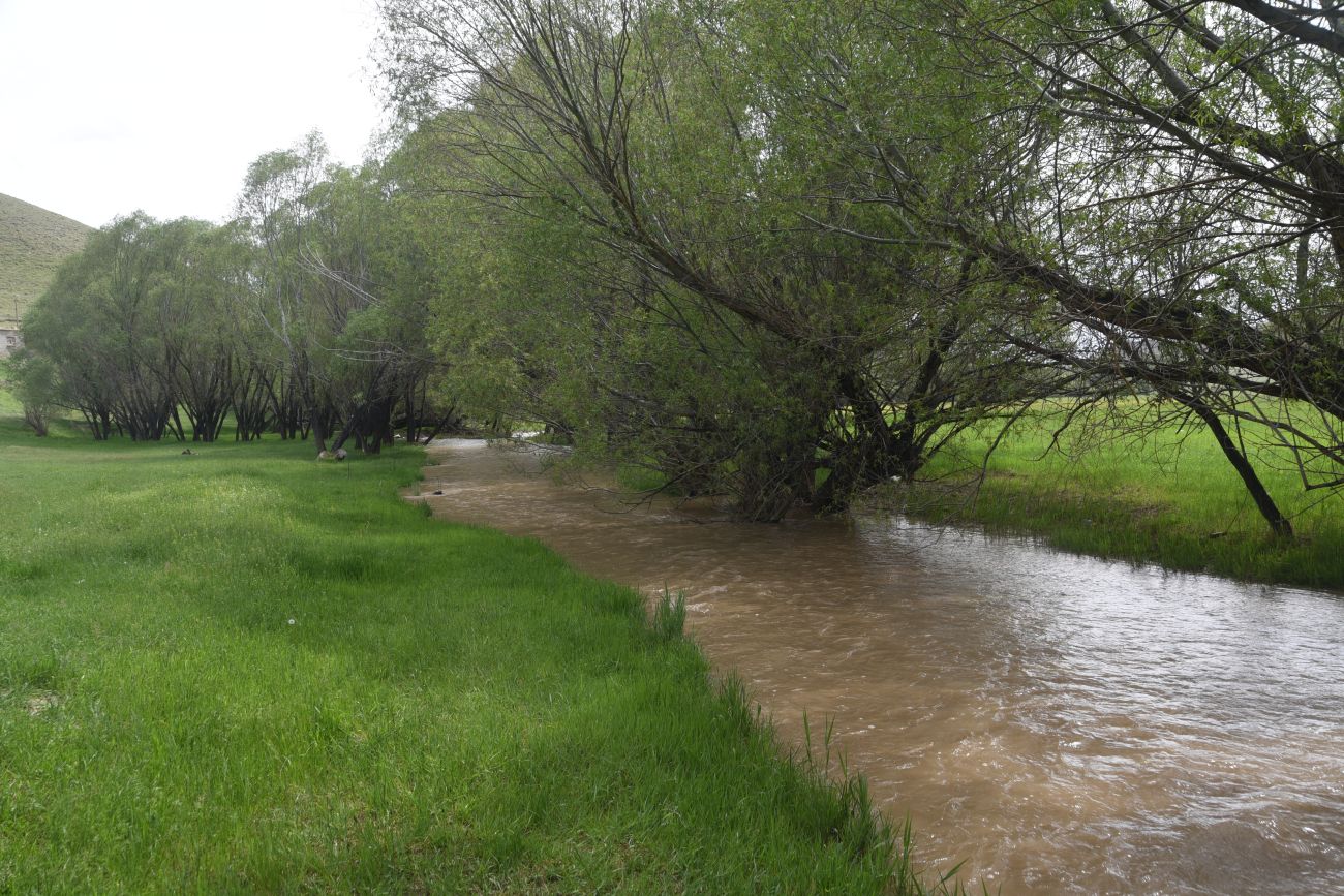 Явузлар, image of landscape/habitat.
