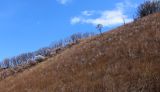 Image of landscape
