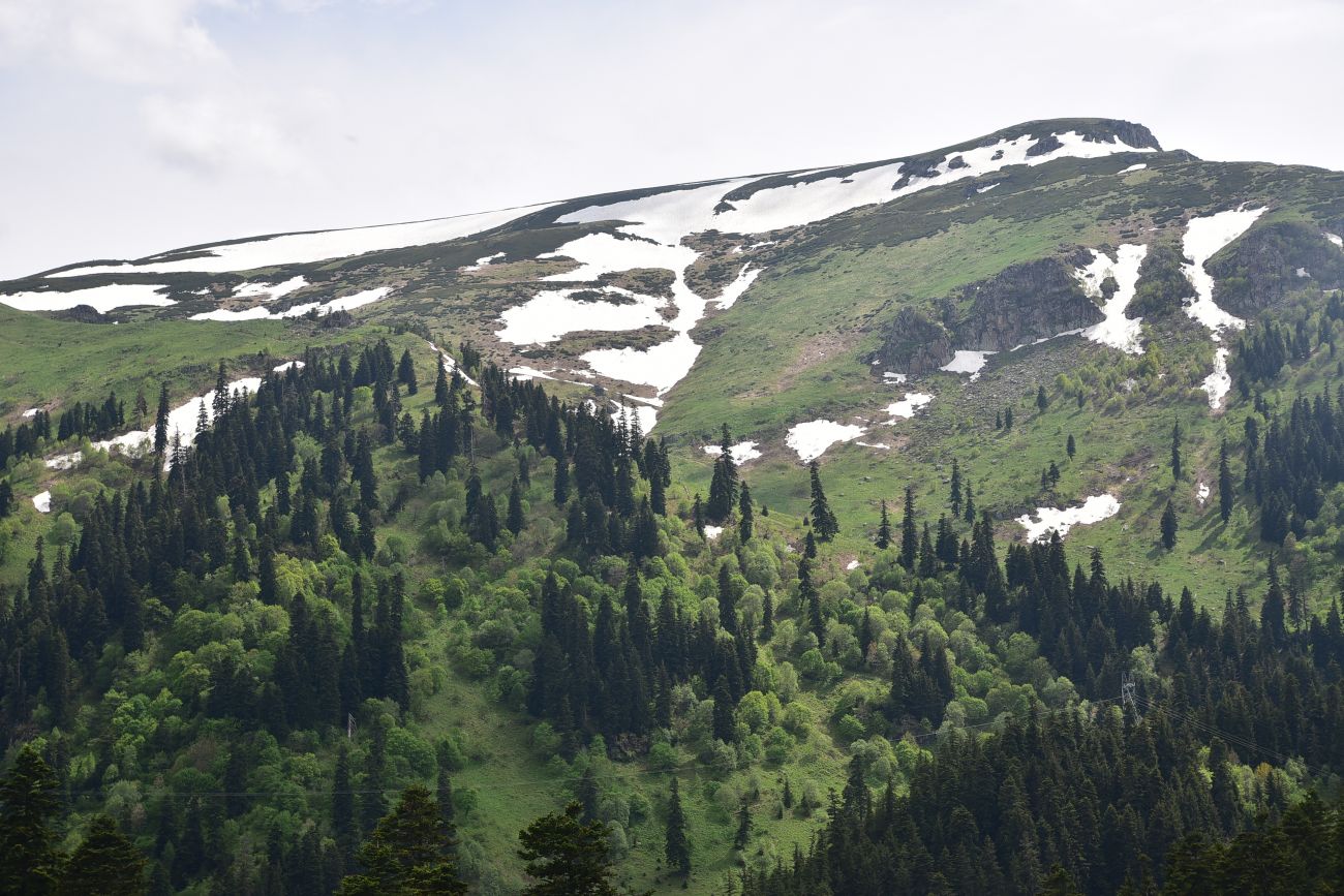 Перевал Чам Гечыды, image of landscape/habitat.