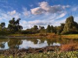 Щучья Лужа, image of landscape/habitat.