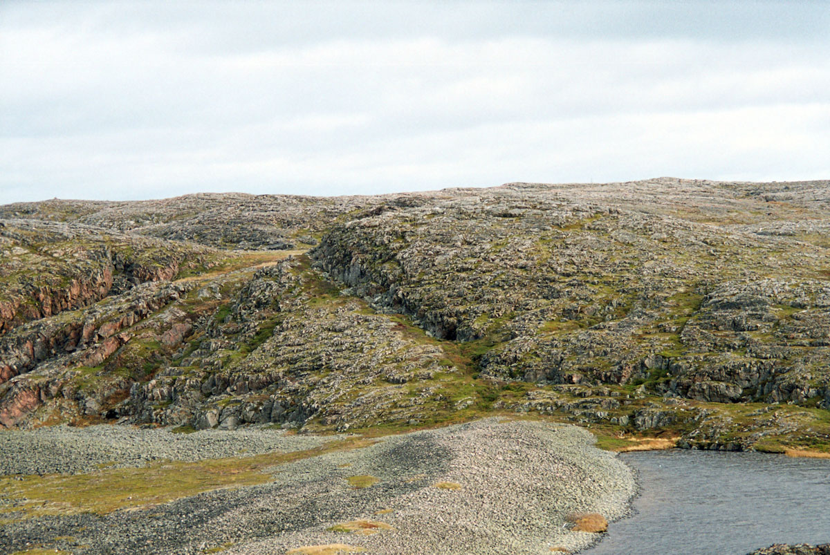 Дальние Зеленцы, image of landscape/habitat.