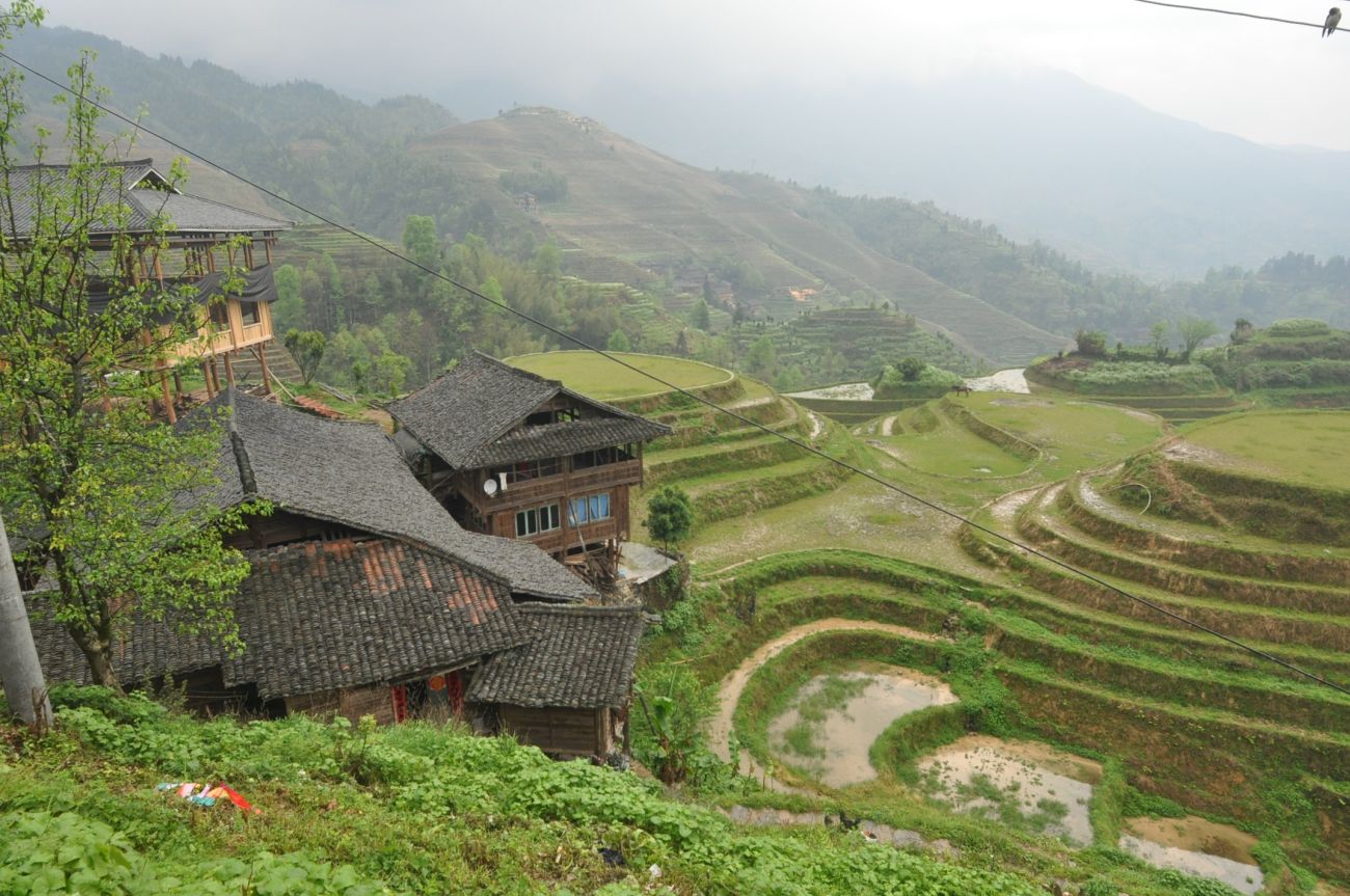 Рисовые террасы Дажай, image of landscape/habitat.