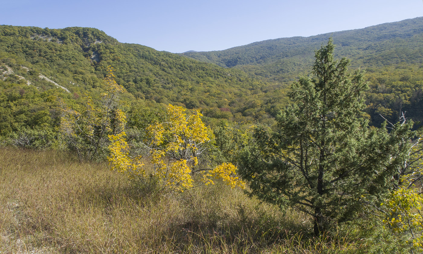 Щель Церковная, image of landscape/habitat.