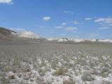 Image of landscape