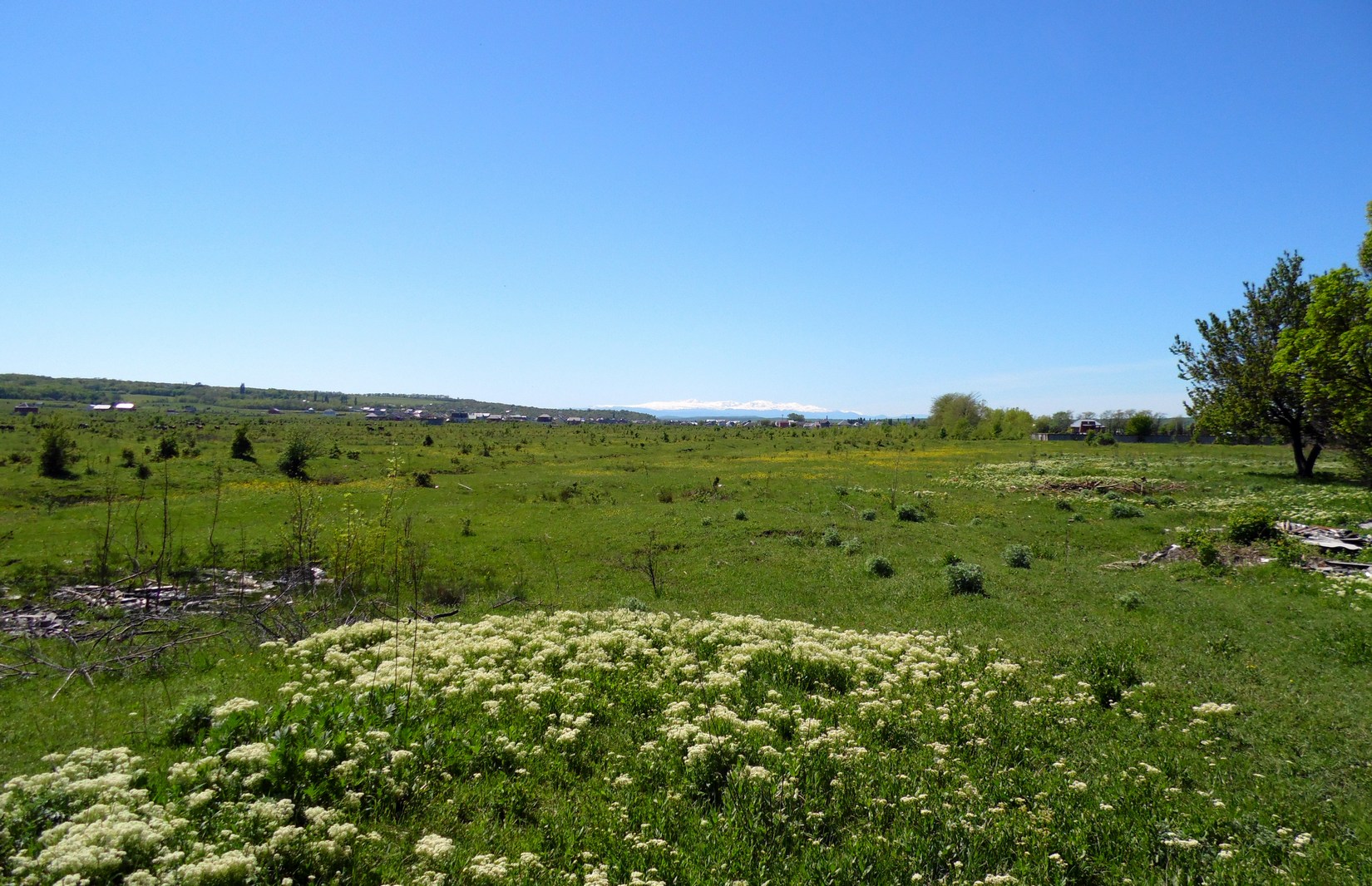 Майкоп и окрестности, image of landscape/habitat.