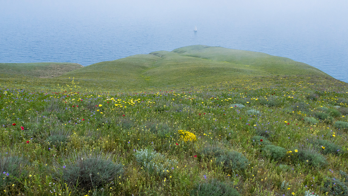 Гора Батон, image of landscape/habitat.